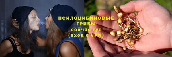 мяу мяу мука Абаза