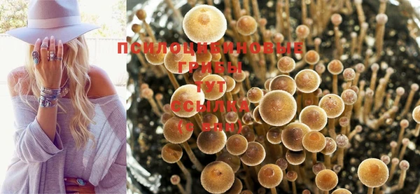 Альфа ПВП Абинск