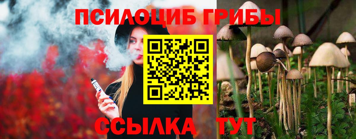 Псилоцибиновые грибы GOLDEN TEACHER  Вход с VPN  Псилоцибиновые грибы GOLDEN TEACHER  Шали 