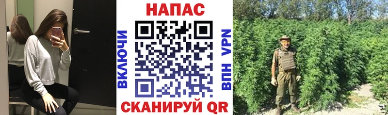 ссылка на мегу как зайти  где найти   Шали  Каннабис индика 